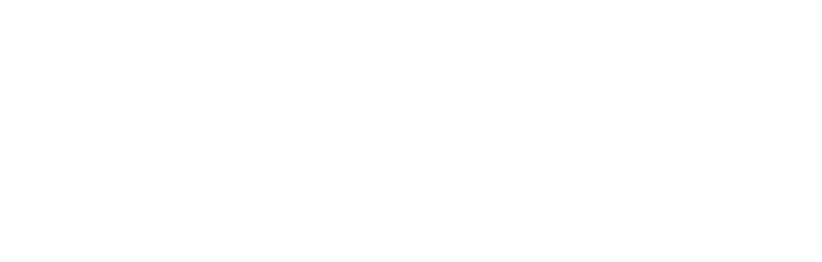 Andbus